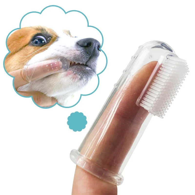 Super miękka szczoteczka do zę – Teeth Whitening Brush recenzja i cena